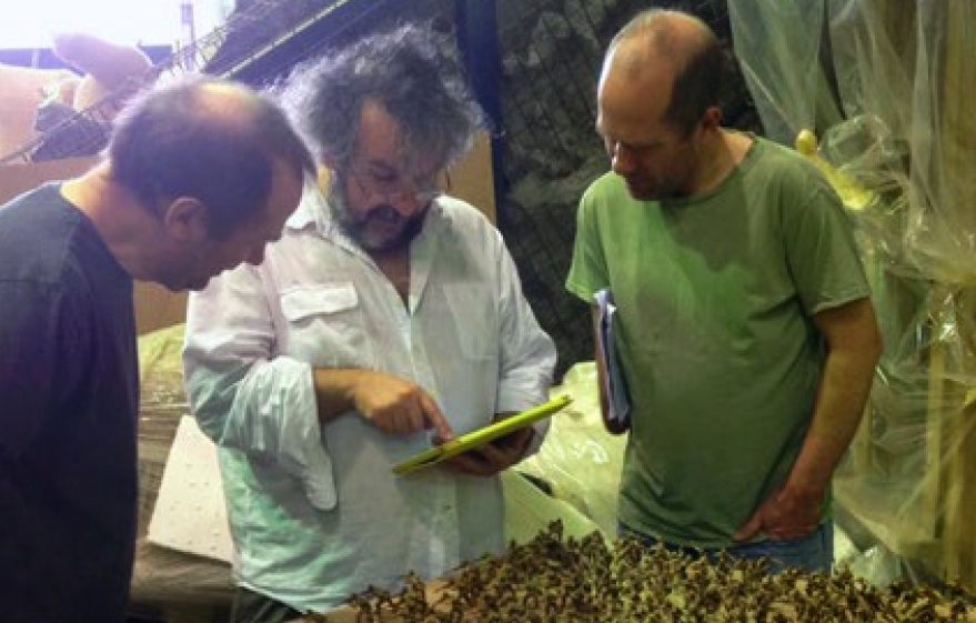 The Perrys with Peter Jackson