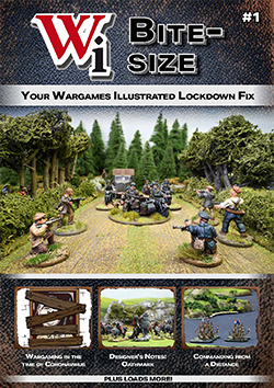 Wi Bite-Size Issue 1