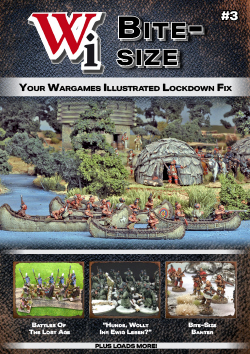 Wi Bite-Size Issue 3