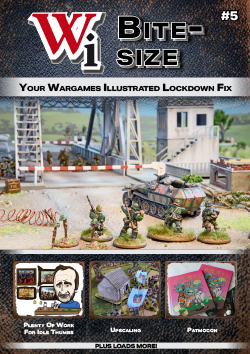 Wi Bite-Size Issue 5